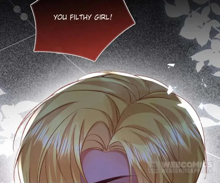 It Is Said That I Am a Fairy Princess Chapter 73 page 60