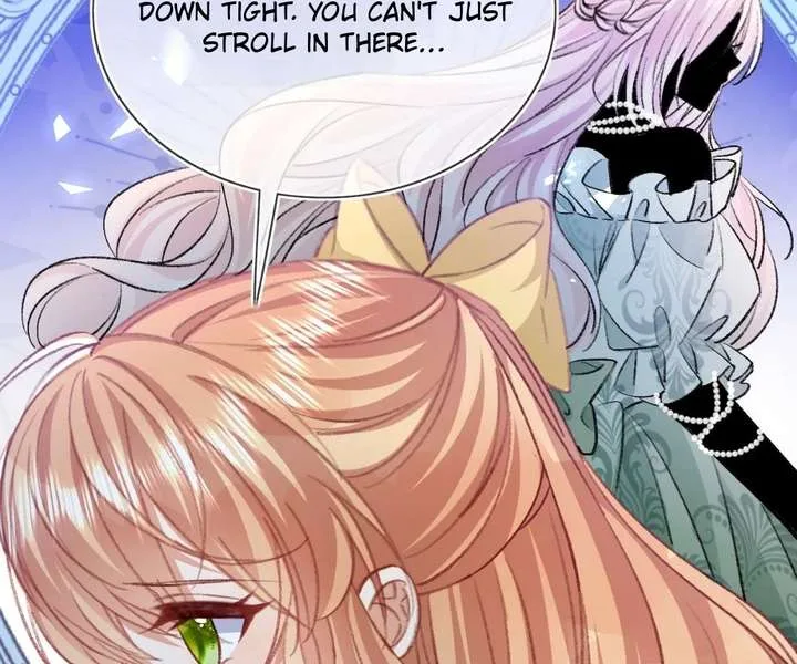 It Is Said That I Am a Fairy Princess Chapter 80 page 46