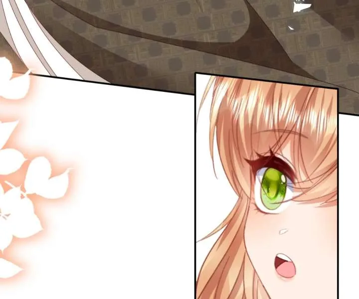 It Is Said That I Am a Fairy Princess Chapter 79 page 27