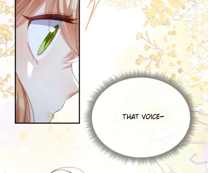 It Is Said That I Am a Fairy Princess Chapter 78 page 74