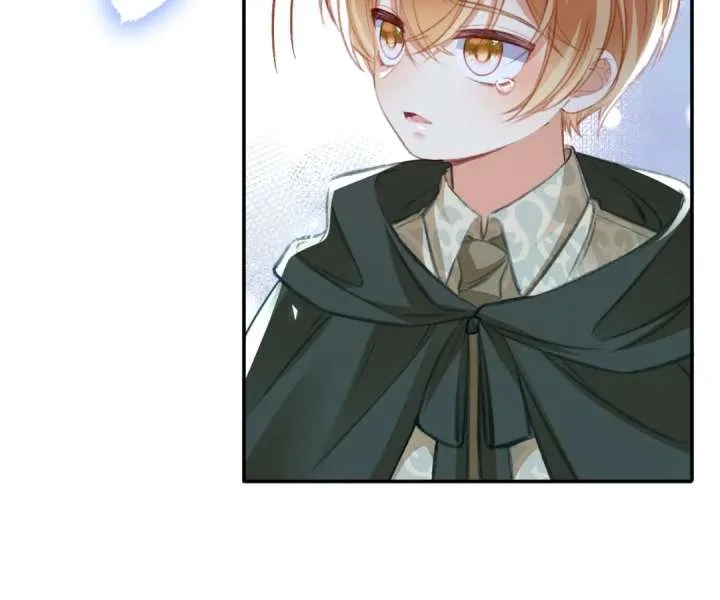 It Is Said That I Am a Fairy Princess Chapter 79 page 72