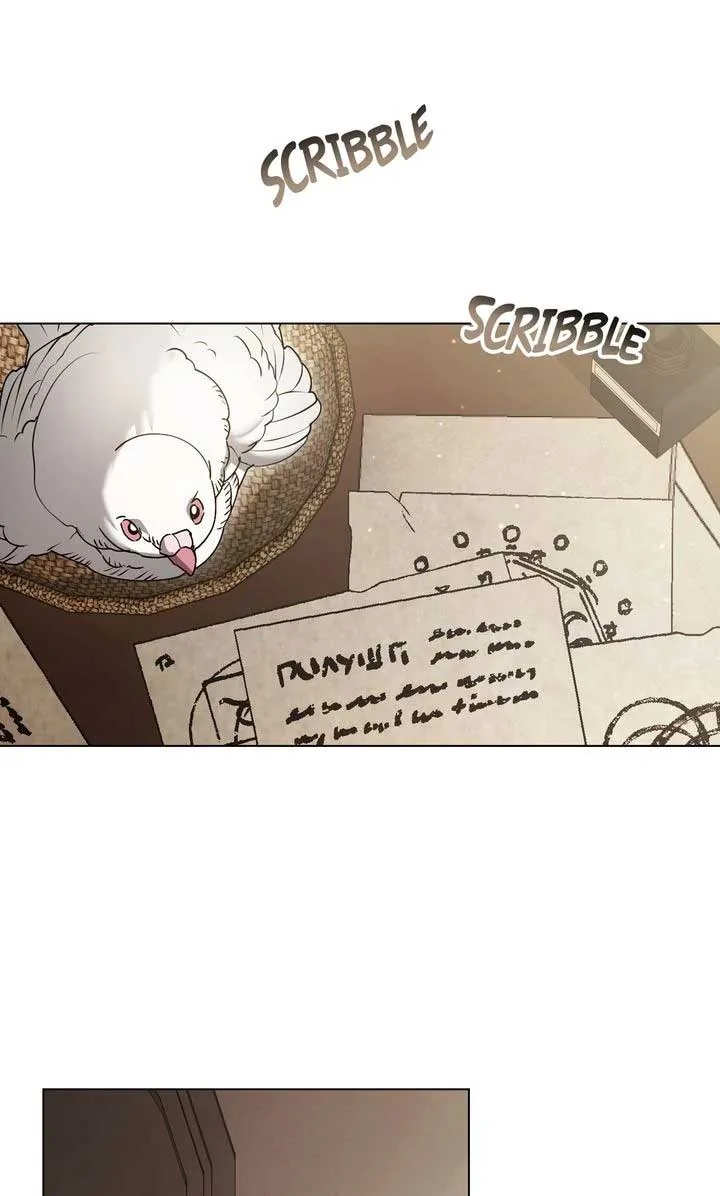 It Was Just a Contract Marriage Chapter 54 page 41