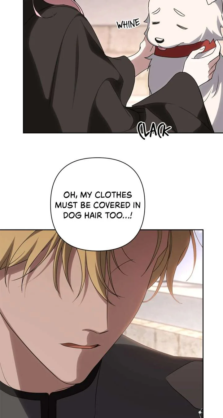 It Was Love at First Sight, Mr. Villain! Chapter 71 page 12
