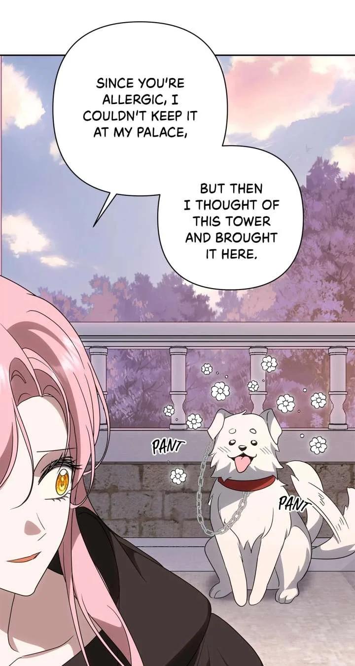 It Was Love at First Sight, Mr. Villain! Chapter 71 page 25