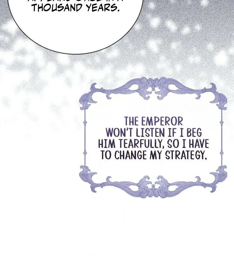 It’s Annoying Because My Childhood Friend Is An Archmage Chapter 34 page 51