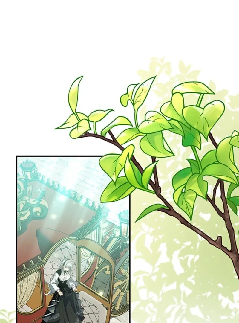 It’s Annoying Because My Childhood Friend Is An Archmage Chapter 50 page 43