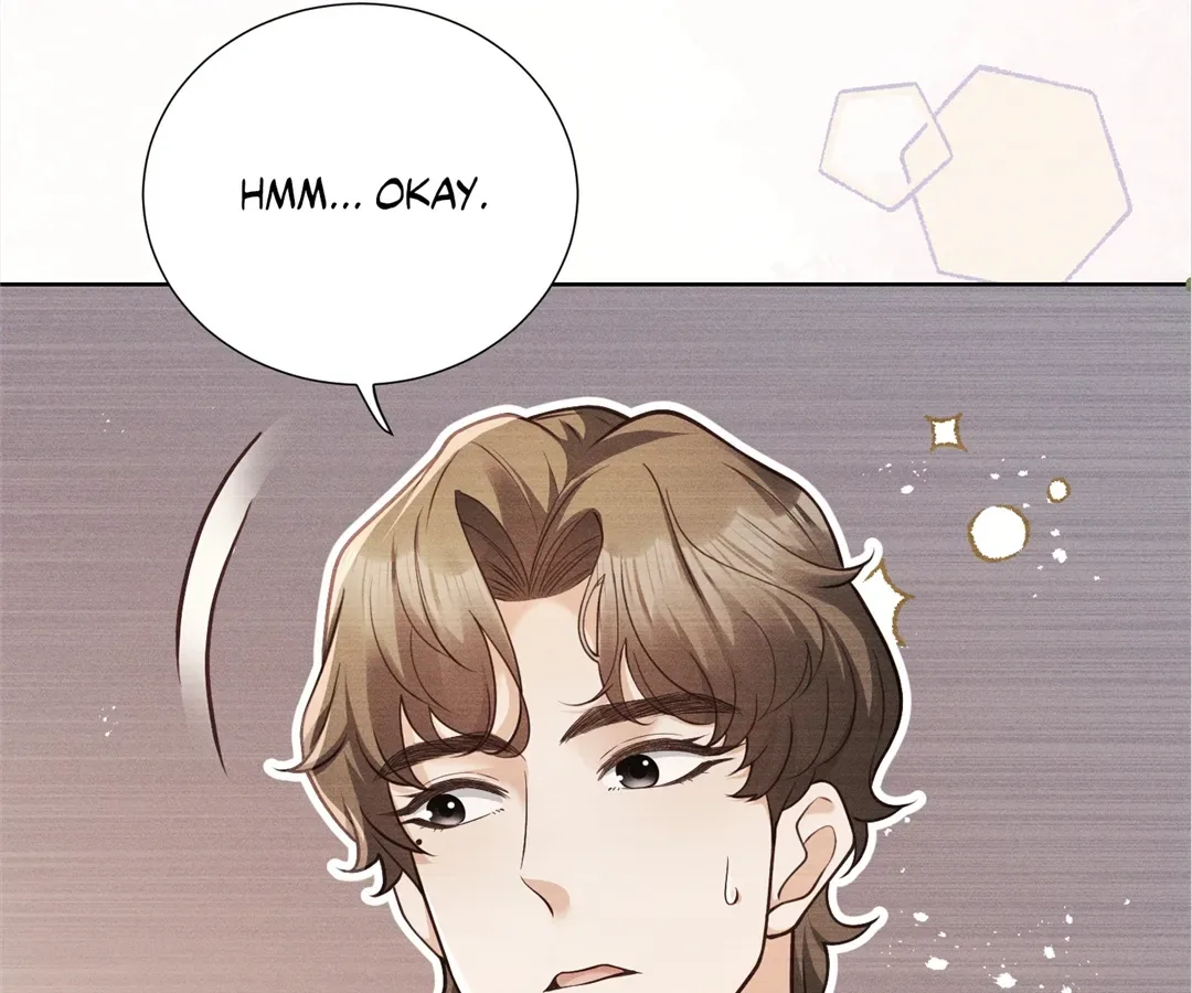 It’s Just a Superficial Intention Chapter 19 page 14
