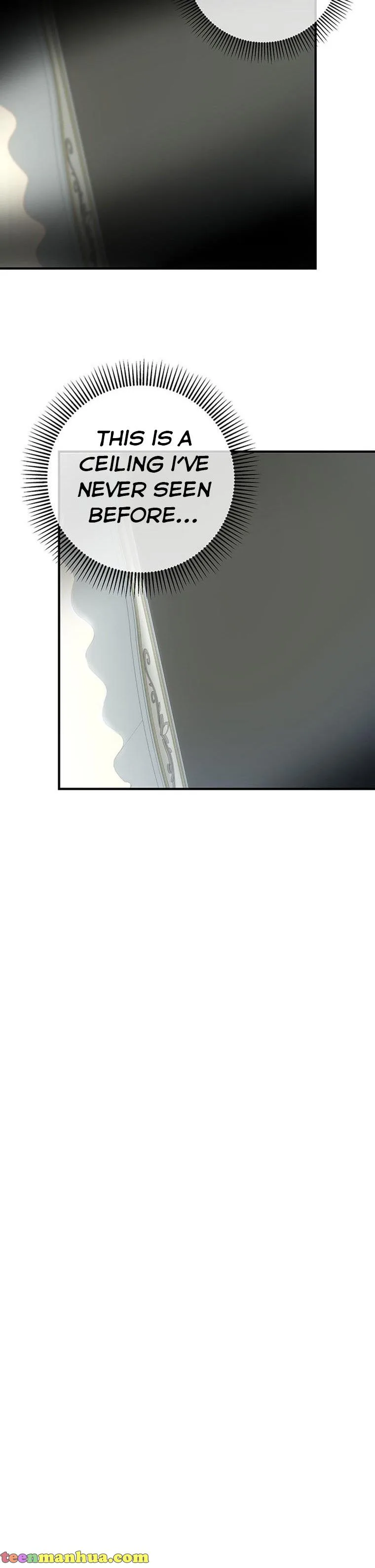 It’s My Destiny To Be The Hero’s Saviour Chapter 3 page 27