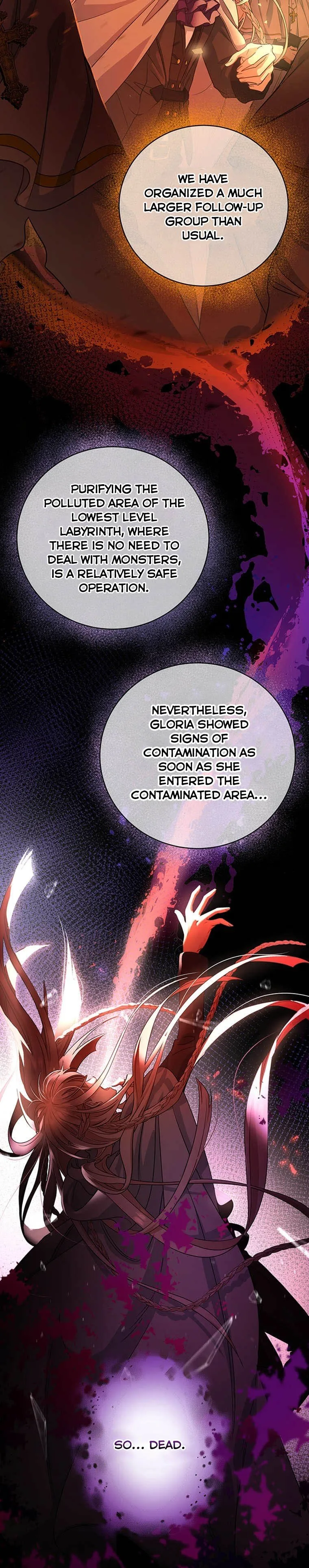 It’s My Destiny To Be The Hero’s Saviour Chapter 7 page 10