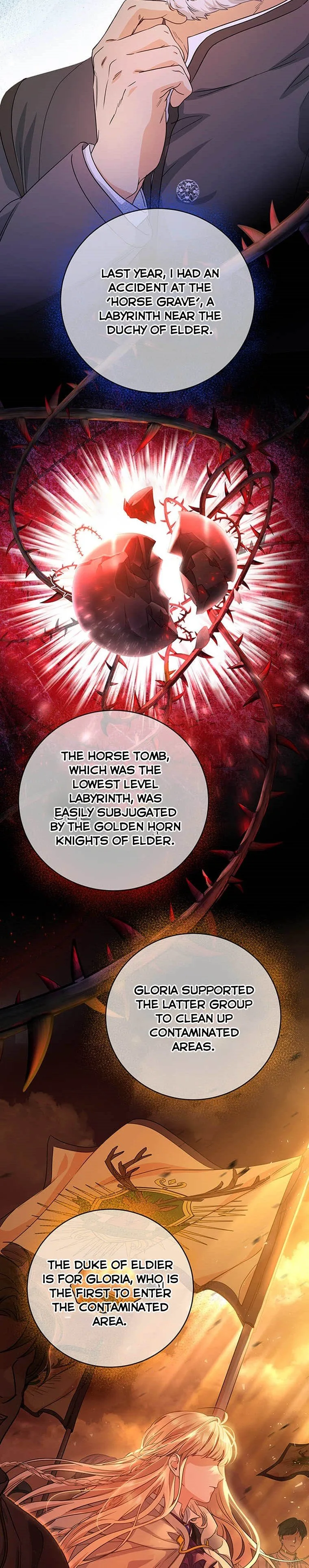 It’s My Destiny To Be The Hero’s Saviour Chapter 7 page 9