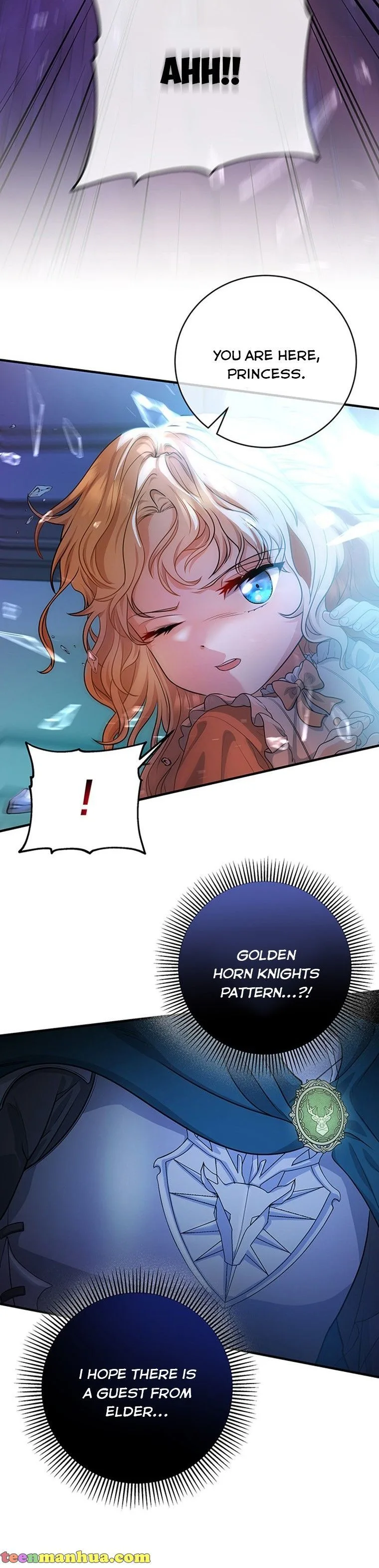 It’s My Destiny To Be The Hero’s Saviour Chapter 8 page 27