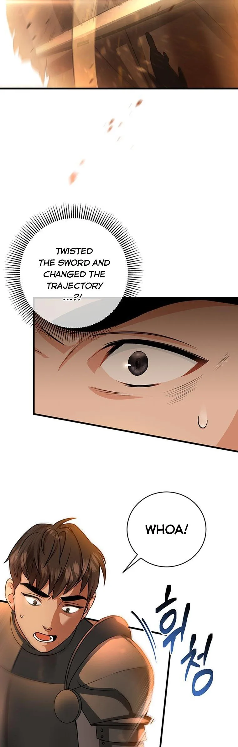 It’s My Destiny To Be The Hero’s Saviour Chapter 16 page 10