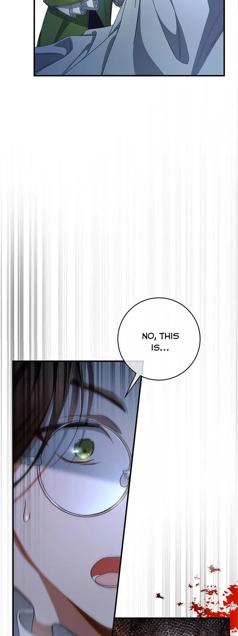 It’s My Destiny To Be The Hero’s Saviour Chapter 22 page 37