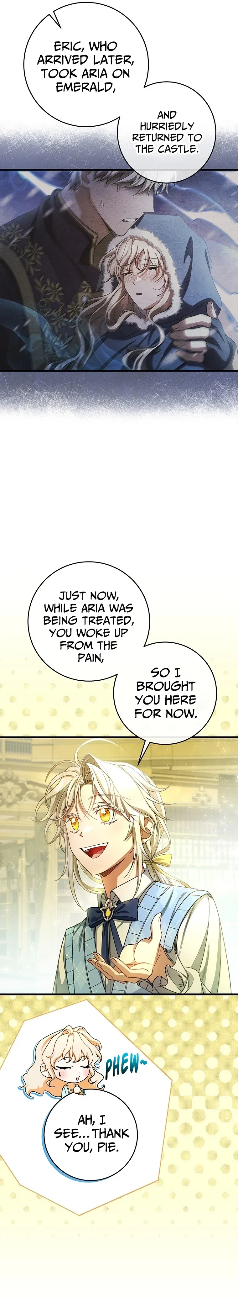 It’s My Destiny To Be The Hero’s Saviour Chapter 29 page 17