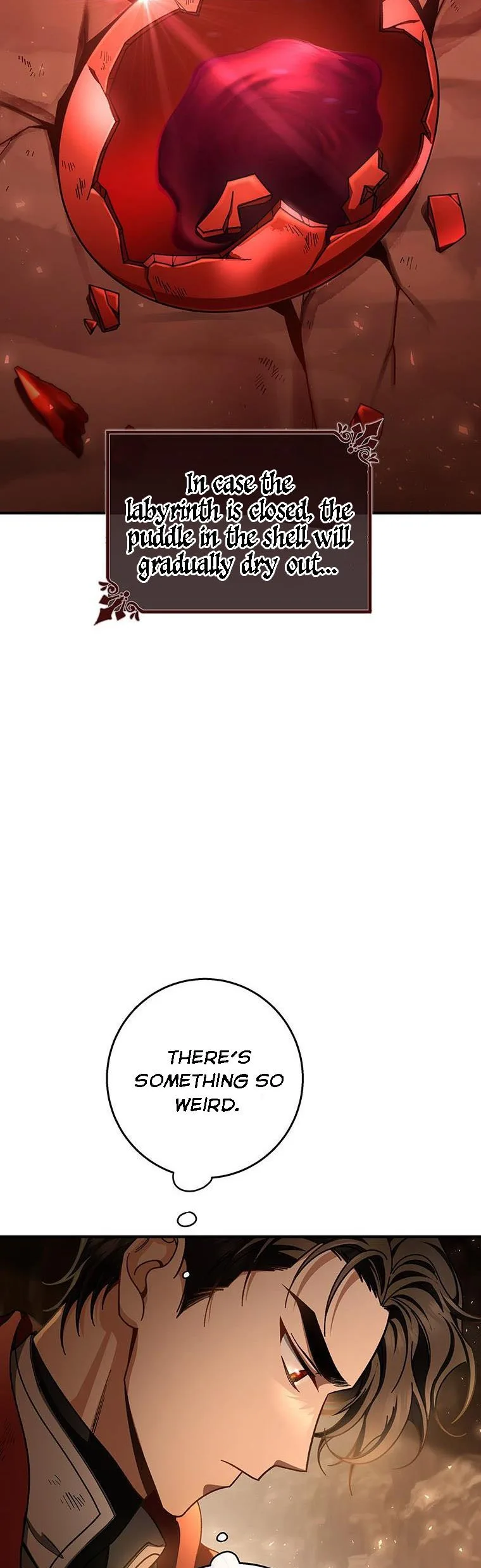 It’s My Destiny To Be The Hero’s Saviour Chapter 33 page 40