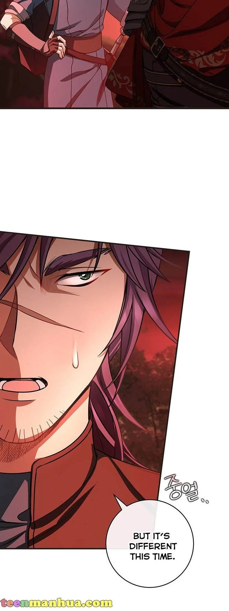 It’s My Destiny To Be The Hero’s Saviour Chapter 31 page 47