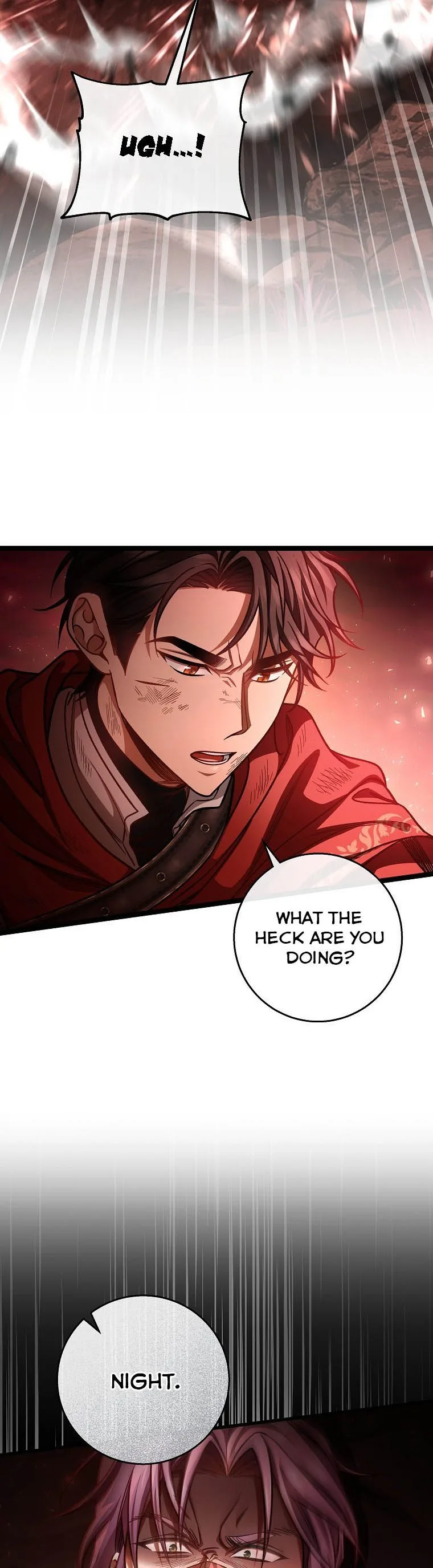 It’s My Destiny To Be The Hero’s Saviour Chapter 35 page 13