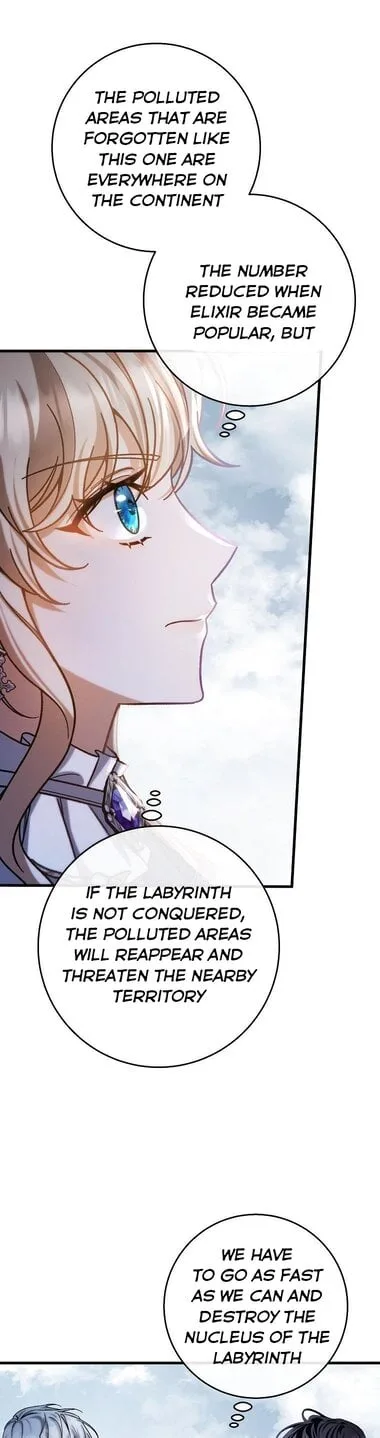 It’s My Destiny To Be The Hero’s Saviour Chapter 49 page 18