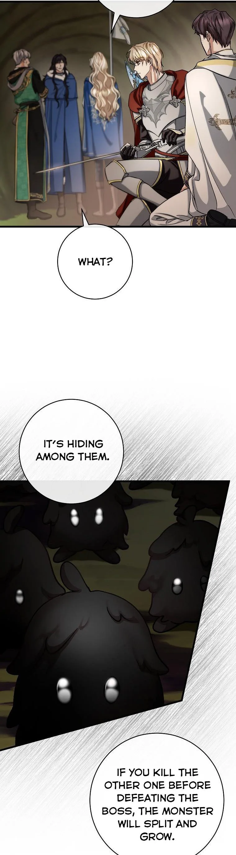 It’s My Destiny To Be The Hero’s Saviour Chapter 51 page 13