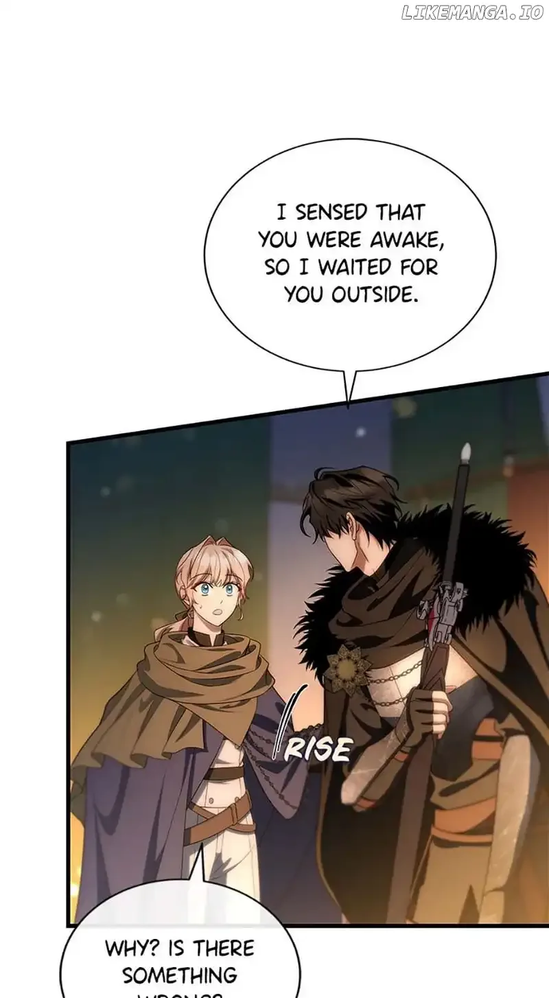 It’s My Destiny To Be The Hero’s Saviour Chapter 73 page 73