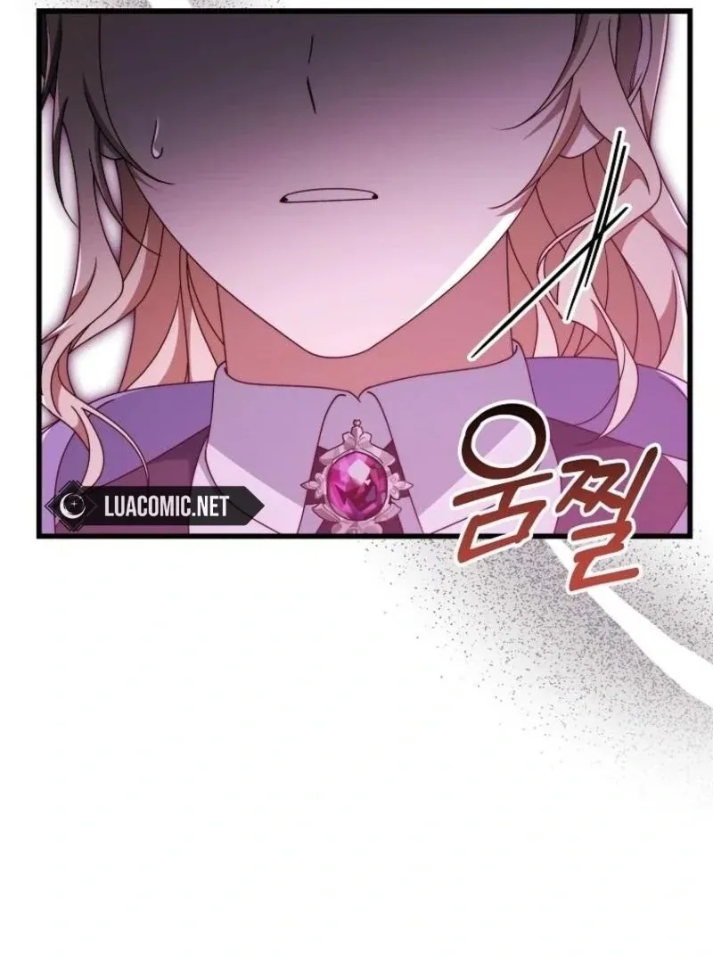 It’s My Destiny To Be The Hero’s Saviour Chapter 146 page 107