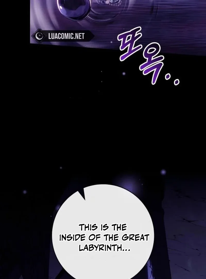 It’s My Destiny To Be The Hero’s Saviour Chapter 146 page 121