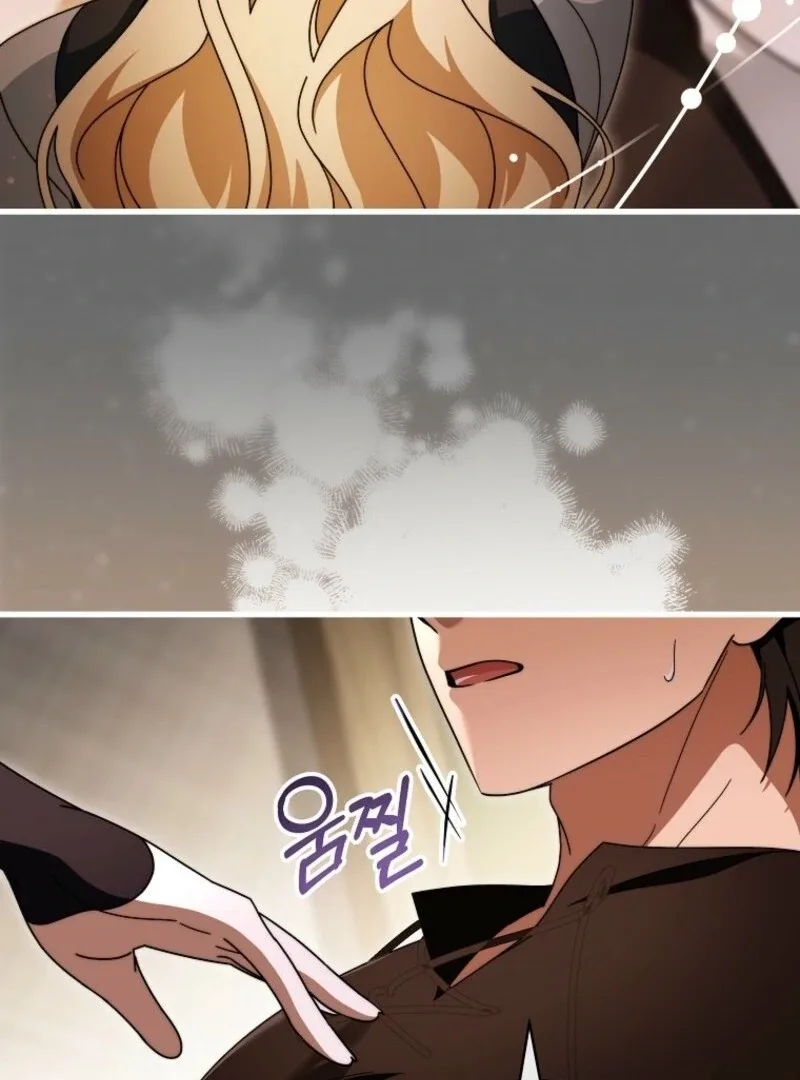 It’s My Destiny To Be The Hero’s Saviour Chapter 150 page 47