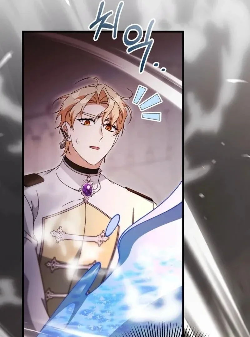 It’s My Destiny To Be The Hero’s Saviour Chapter 148 page 13