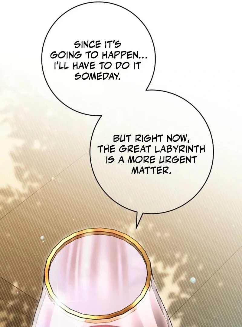 It’s My Destiny To Be The Hero’s Saviour Chapter 151 page 95