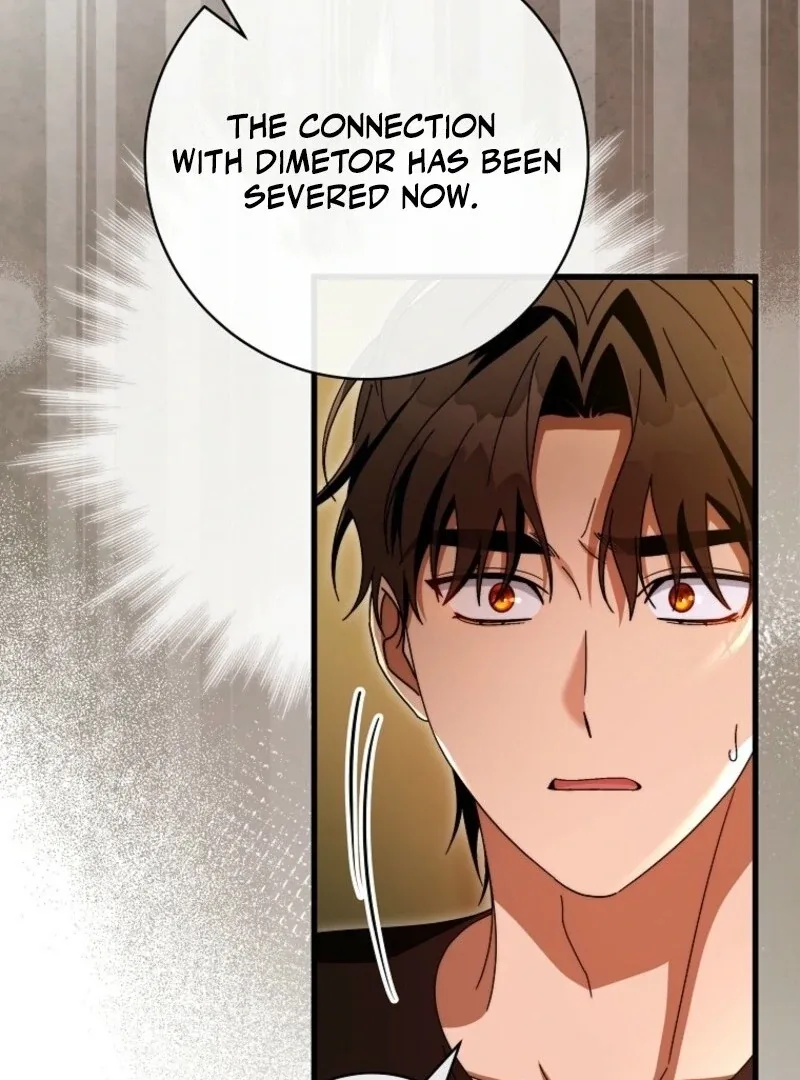 It’s My Destiny To Be The Hero’s Saviour Chapter 150 page 71