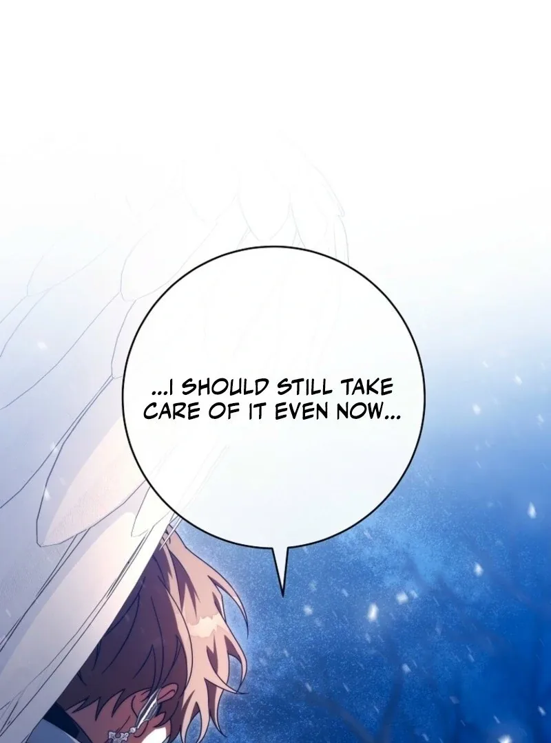 It’s My Destiny To Be The Hero’s Saviour Chapter 154 page 117