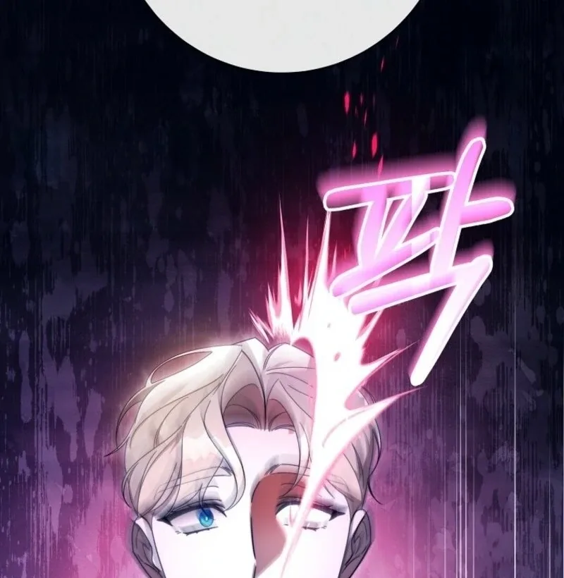It’s My Destiny To Be The Hero’s Saviour Chapter 155 page 65