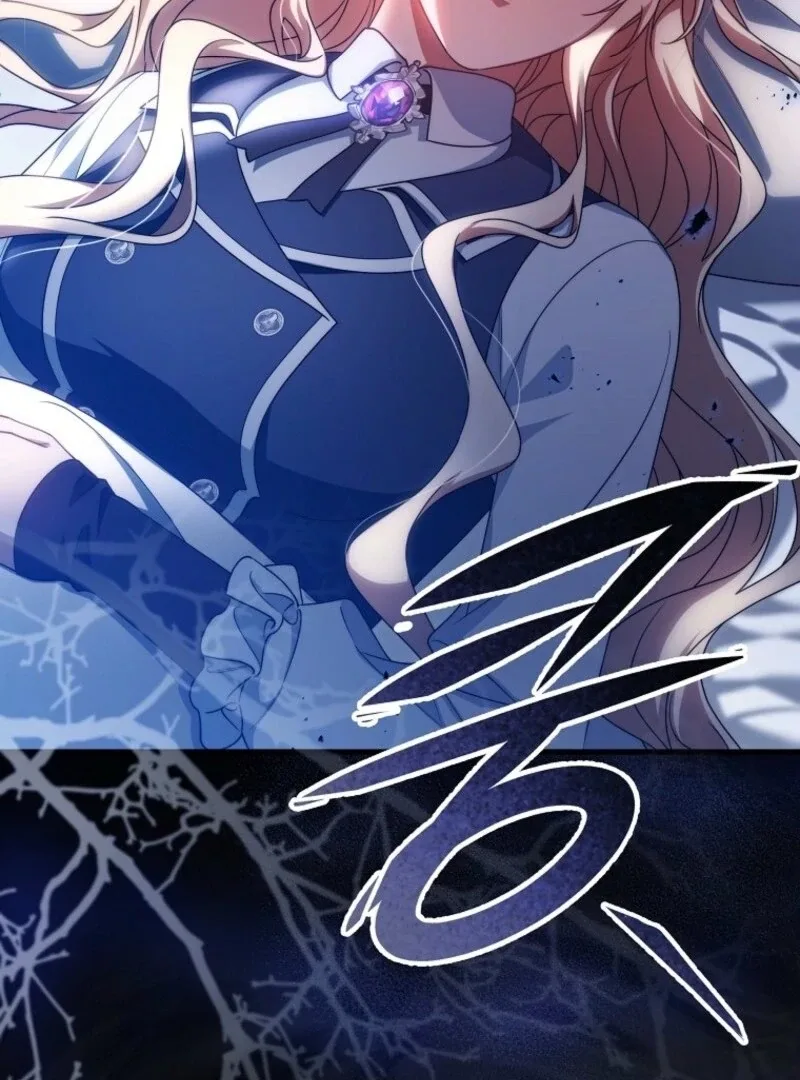 It’s My Destiny To Be The Hero’s Saviour Chapter 155 page 150