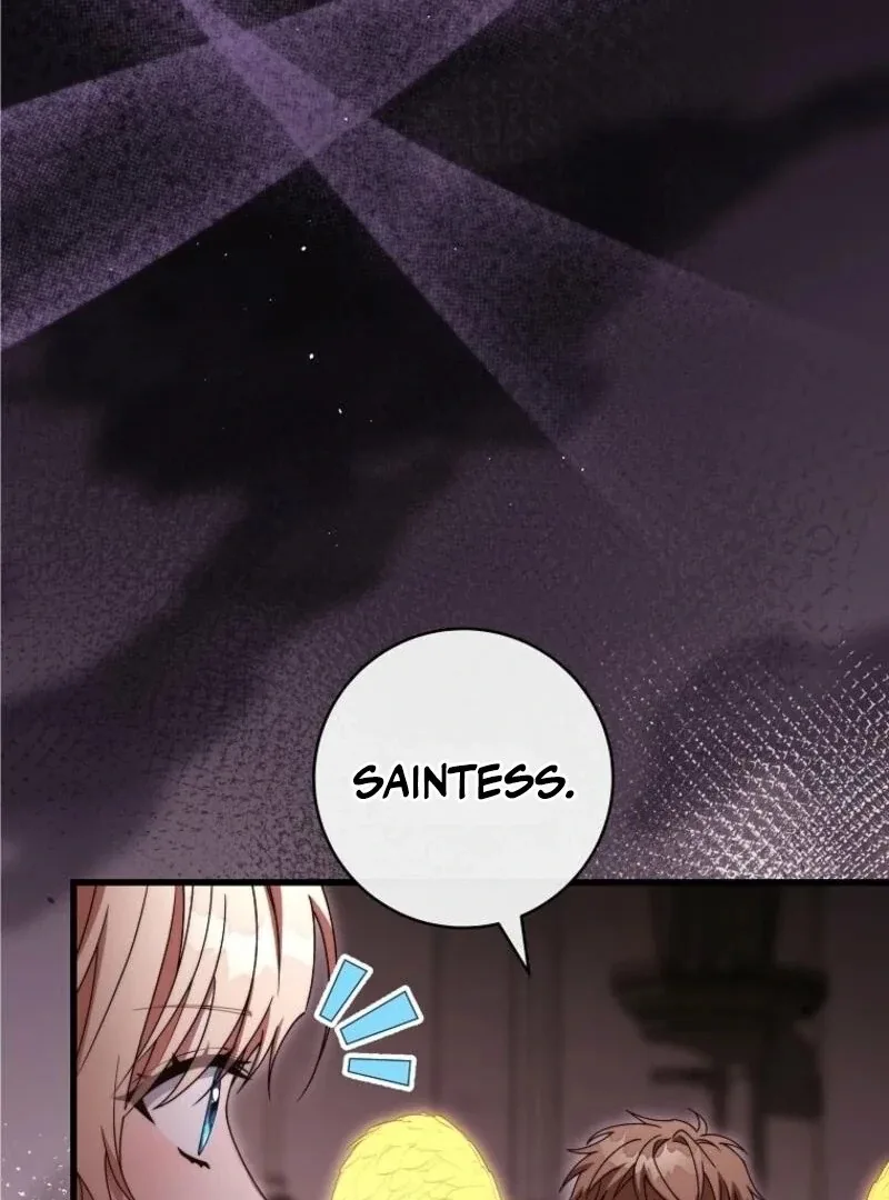 It’s My Destiny To Be The Hero’s Saviour Chapter 148 page 104
