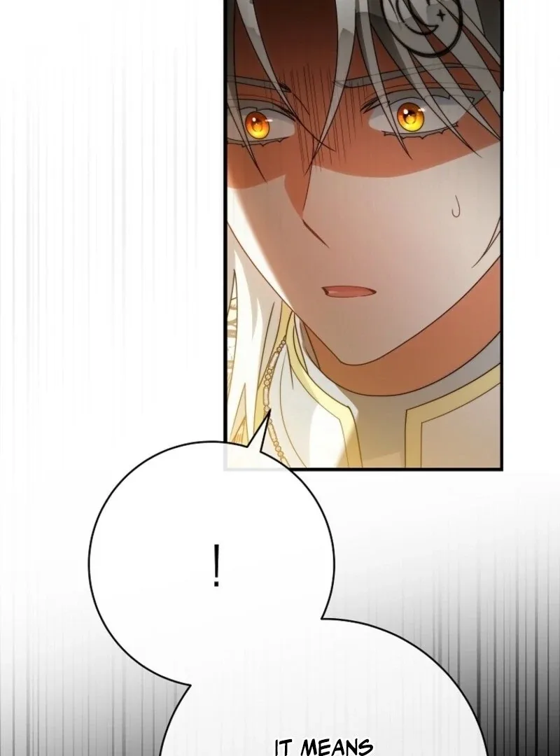 It’s My Destiny To Be The Hero’s Saviour Chapter 157 page 106