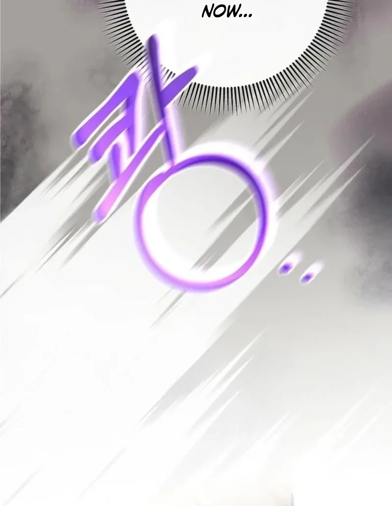 It’s My Destiny To Be The Hero’s Saviour Chapter 148 page 117