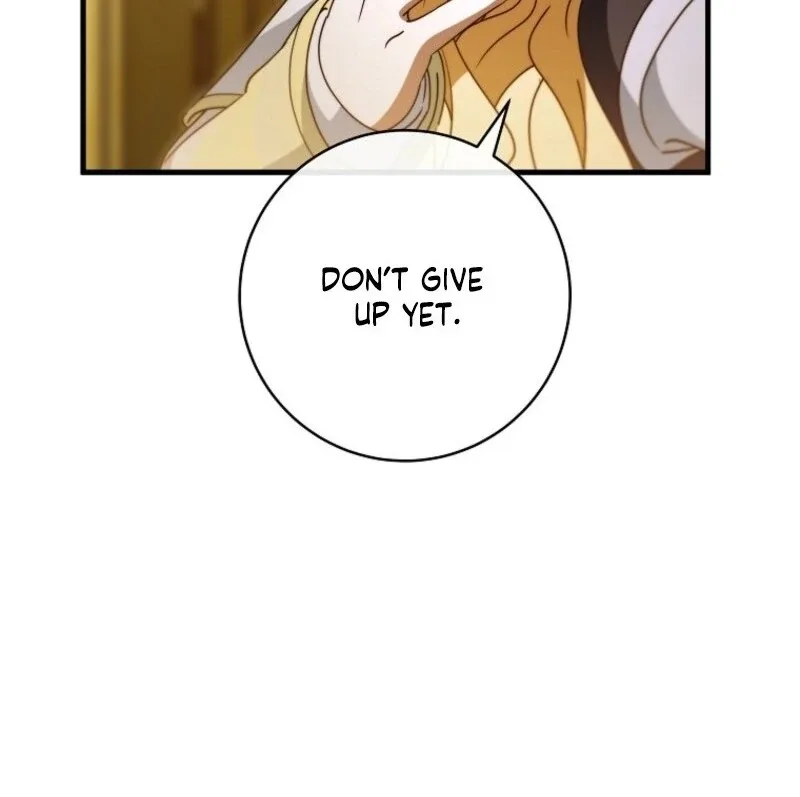 It’s My Destiny To Be The Hero’s Saviour Chapter 161 page 70