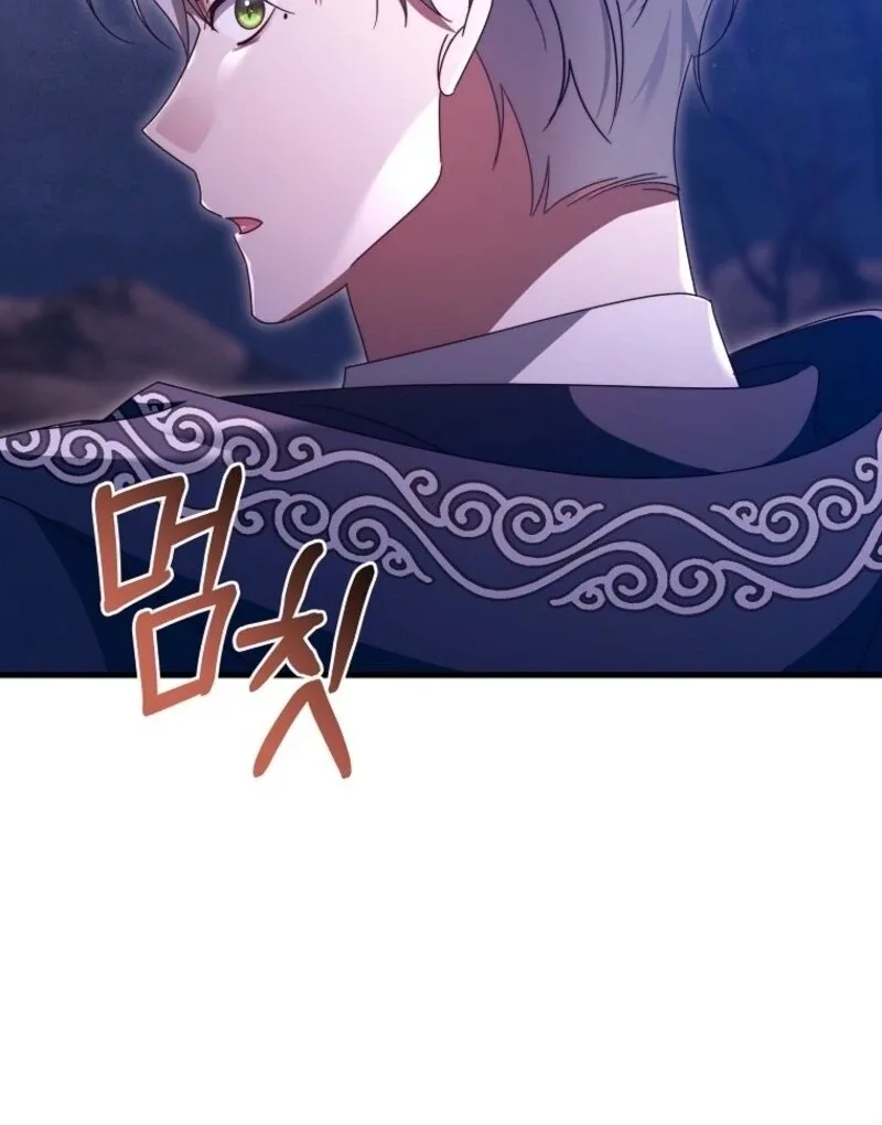 It’s My Destiny To Be The Hero’s Saviour Chapter 153 page 140