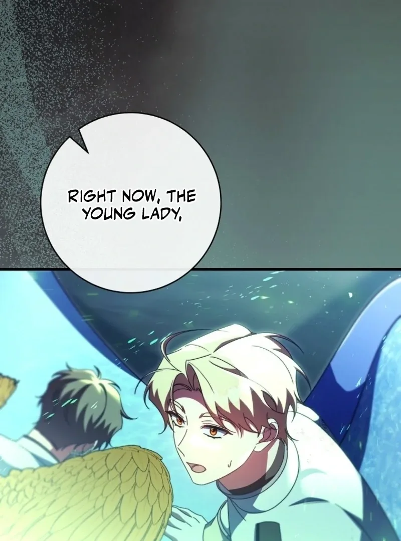 It’s My Destiny To Be The Hero’s Saviour Chapter 158 page 135