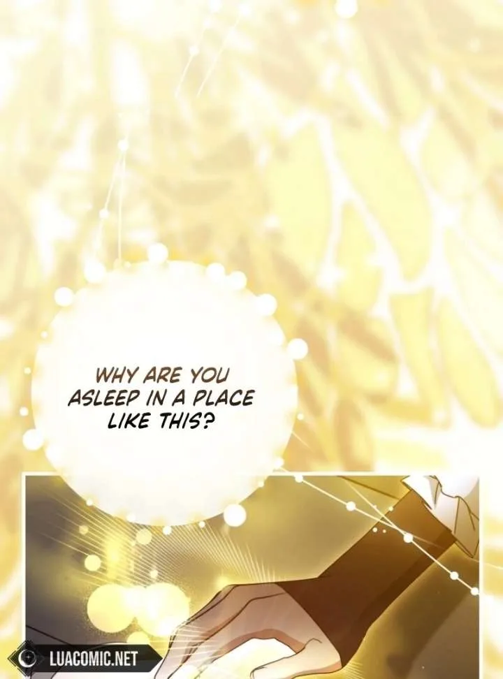 It’s My Destiny To Be The Hero’s Saviour Chapter 163 page 58