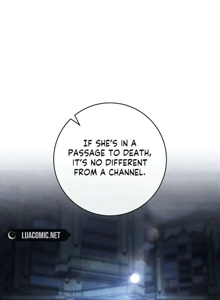 It’s My Destiny To Be The Hero’s Saviour Chapter 175 page 27