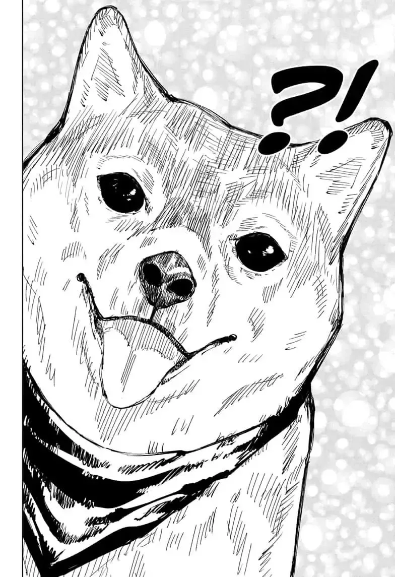 JUJUTSU KAISEN Chapter 68 page 13