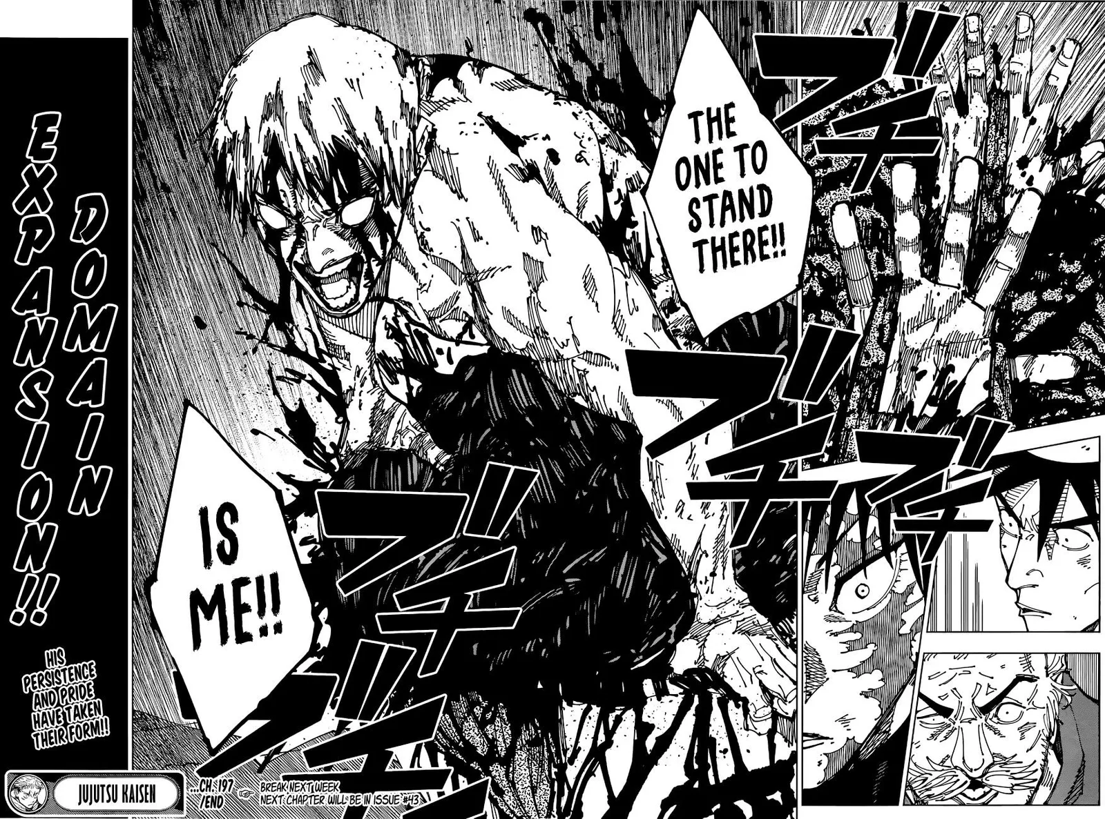 JUJUTSU KAISEN Chapter 197 page 17