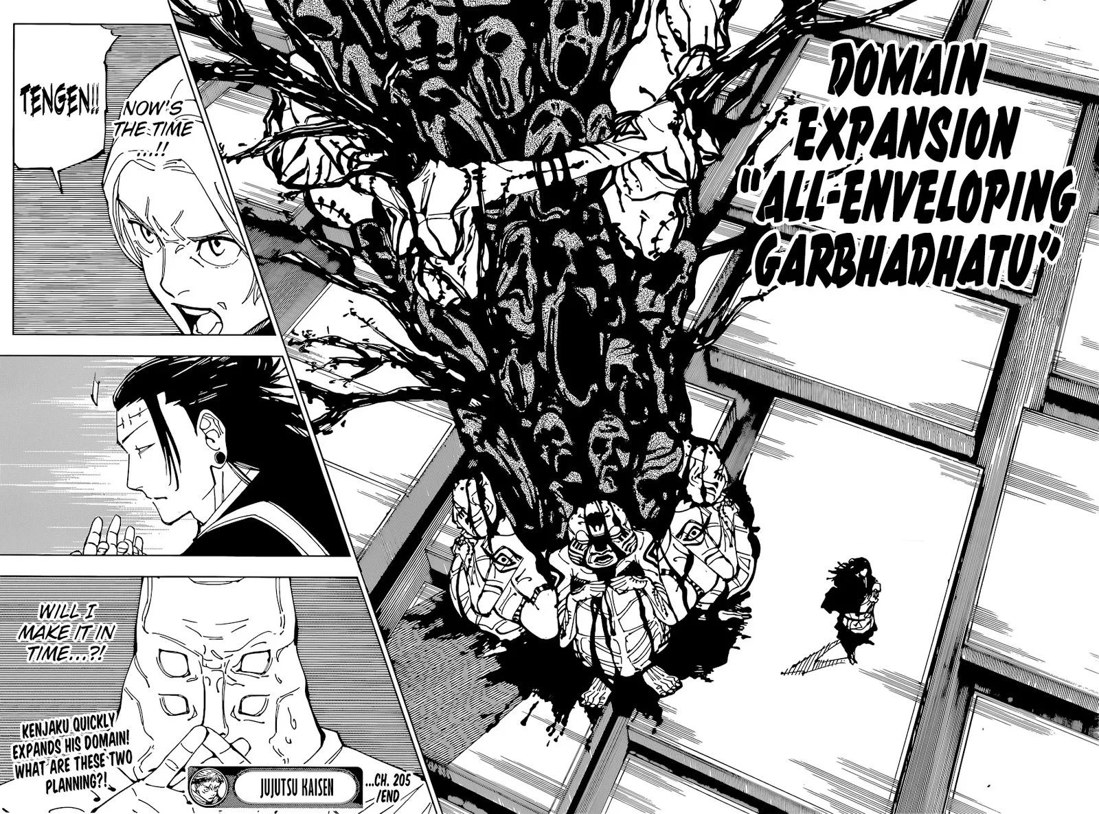 JUJUTSU KAISEN Chapter 205 page 17