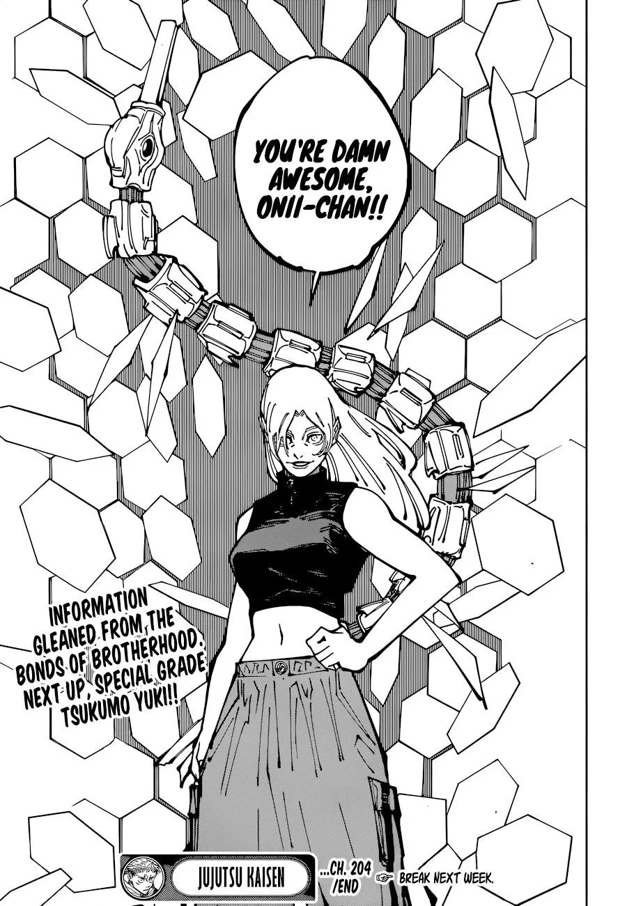 JUJUTSU KAISEN Chapter 204 page 19