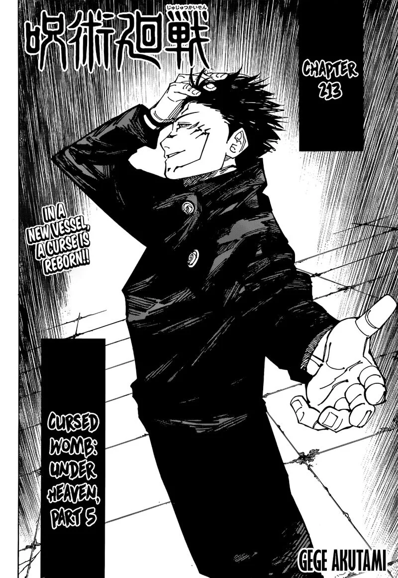 JUJUTSU KAISEN Chapter 213 page 3
