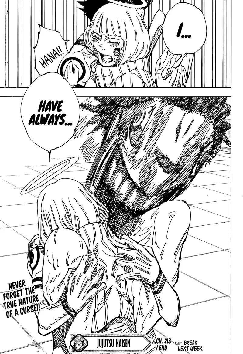 JUJUTSU KAISEN Chapter 213 page 16