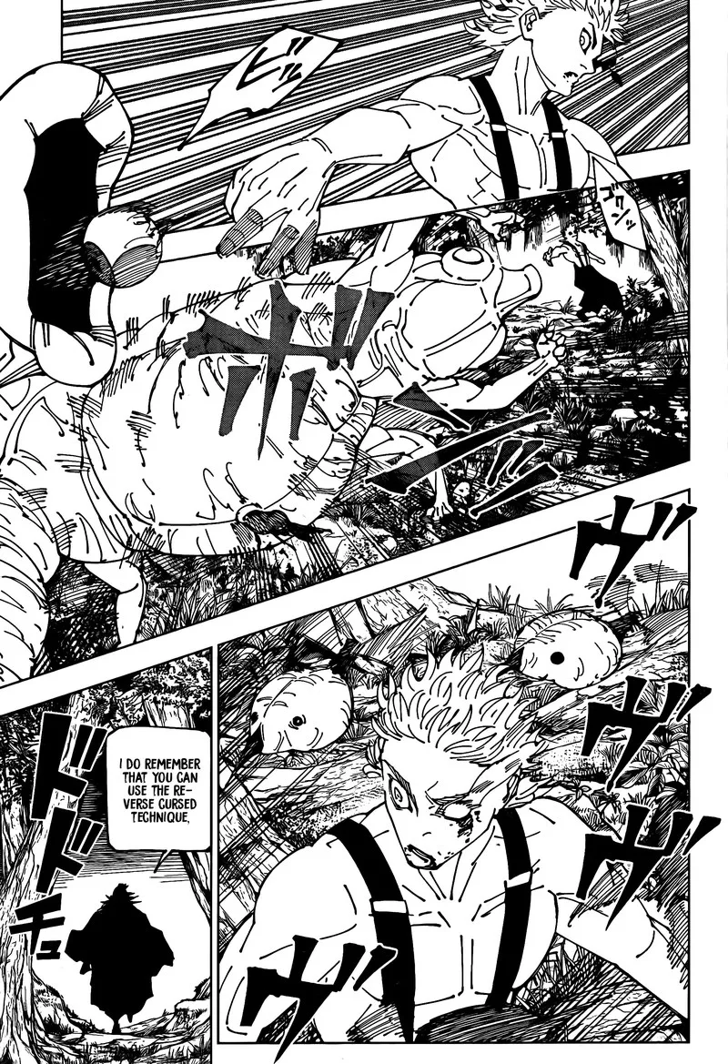 JUJUTSU KAISEN Chapter 239 page 14