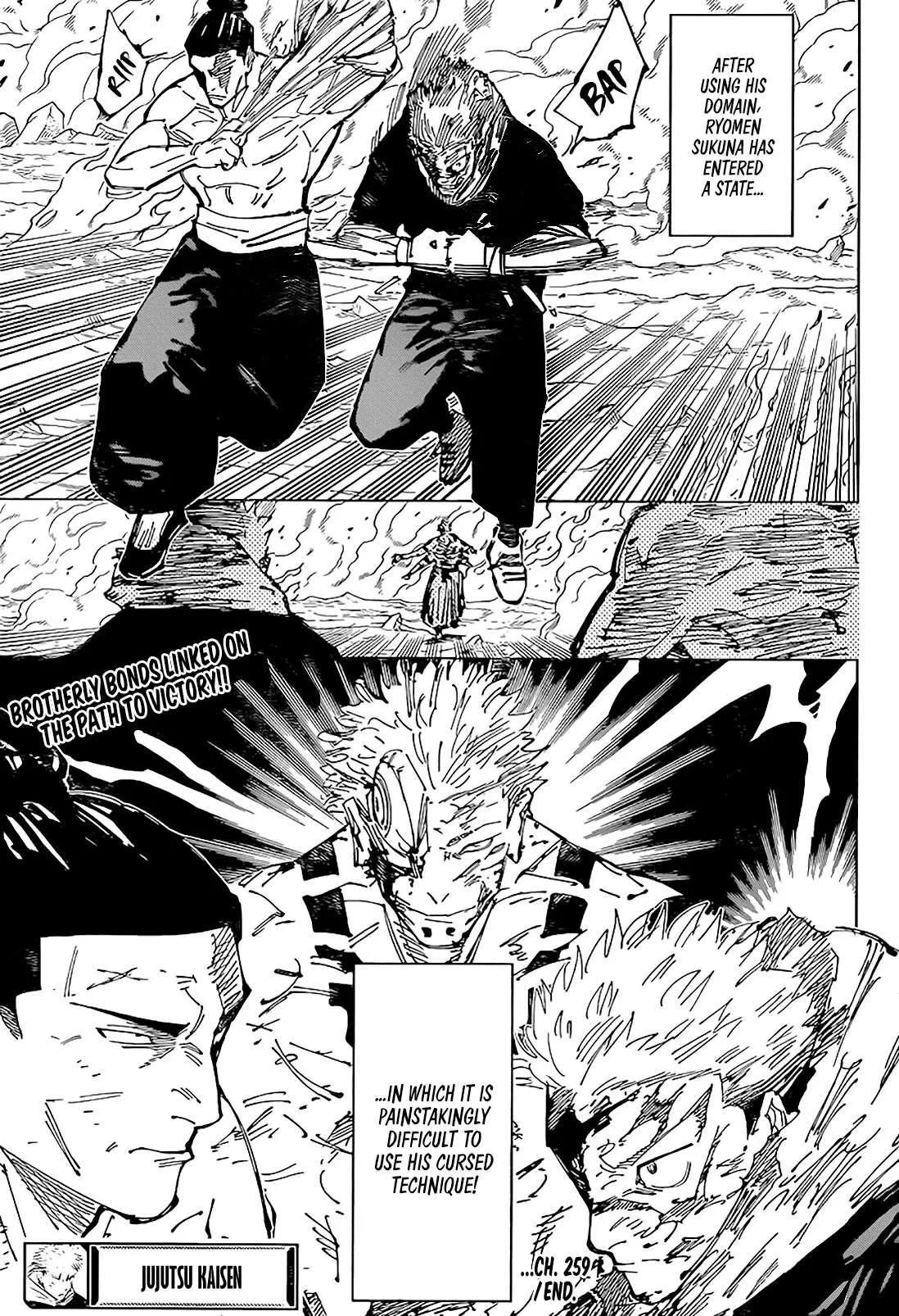 JUJUTSU KAISEN Chapter 259 page 17