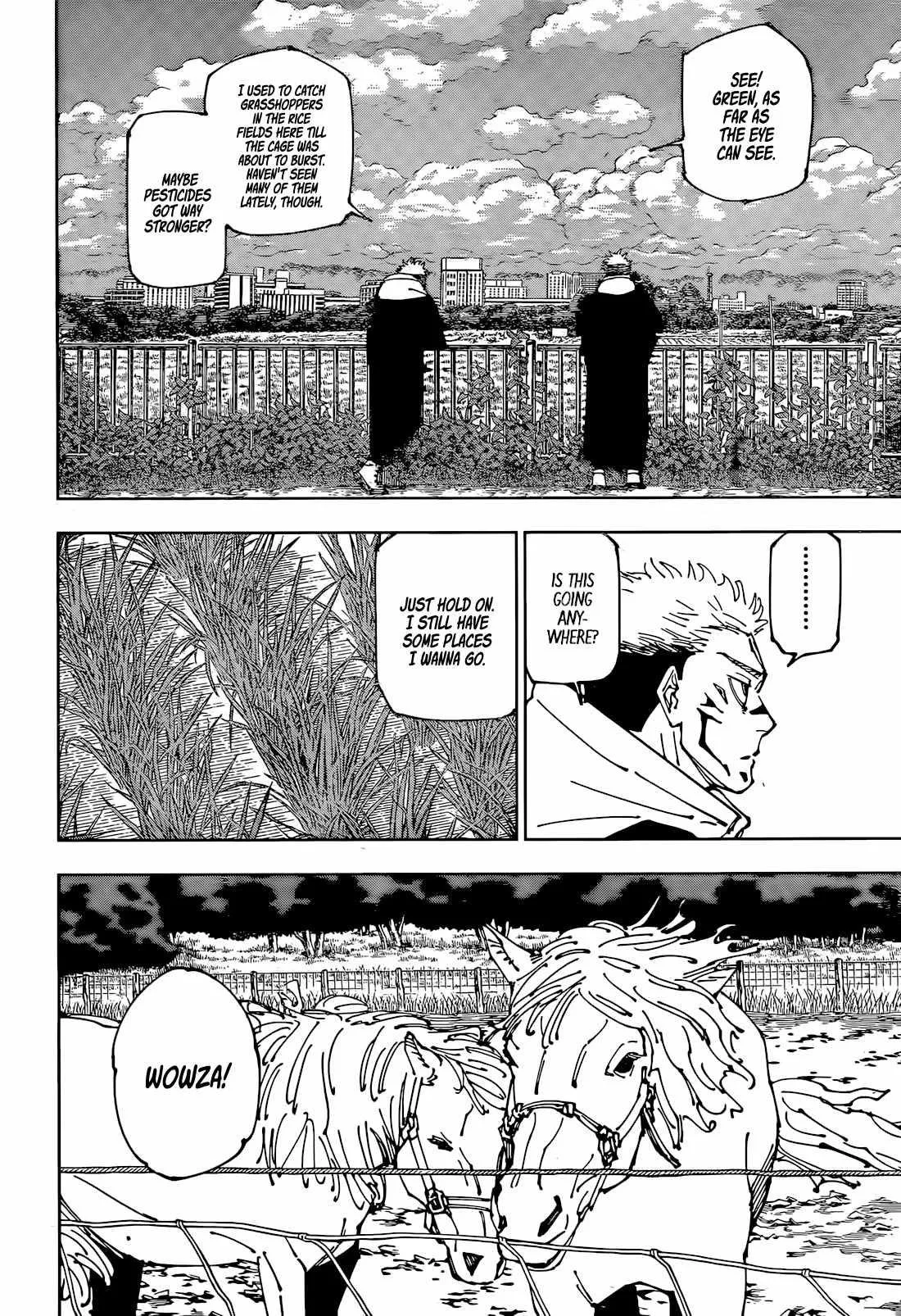 JUJUTSU KAISEN Chapter 265 page 7